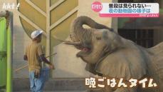 熊本市動植物園 夏休み夜間開園 昼は寝ていても…夜は活発になる動物も