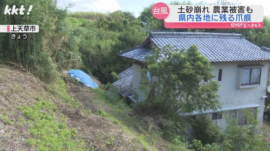 【台風10号】秋の味覚のクリやナシも被害 宿泊のキャンセルも 熊本の各地に爪痕