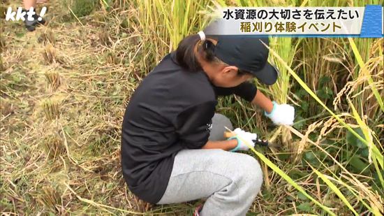 ｢水資源の大切さ伝えたい｣南阿蘇村で稲刈り体験イベント 収穫したコメは被災地にも