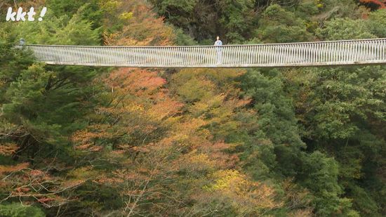 五家荘の紅葉が見ごろ 吊り橋周辺では色鮮やかなモミジ 熊本各地の色づき状況は