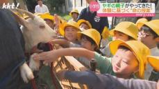 ｢ヤギがやって来た!｣減少する学校での動物飼育｢命の大切さを学んでほしい｣飼育を始めた小学校