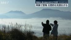 ｢うれしい やっと見られた｣阿蘇で雲海 阿蘇谷に幻想的な光景広がる