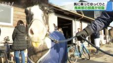 隊列を組み町の中をゆっくりと移動 南稜高校馬術部の部員が馬に乗って初詣