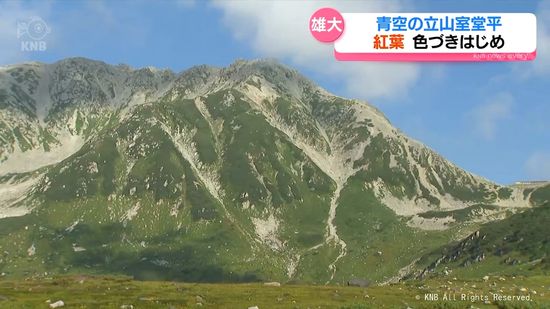 室堂周辺　高山植物が色づき始め　北アルプス立山　まもなく紅葉見頃