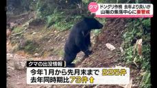 クマの餌となるドングリの実りは去年より良いが引き続き出没警戒を