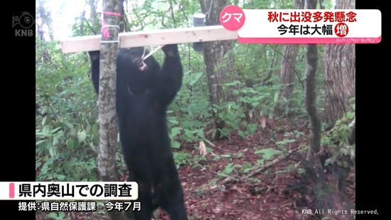 秋はクマ出没多発懸念　被害防止対策を確認