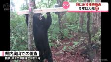 秋はクマ出没多発懸念　被害防止対策を確認