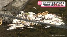 水をとめた翌日に大量の魚の死骸　富山市の牛ヶ首用水支流