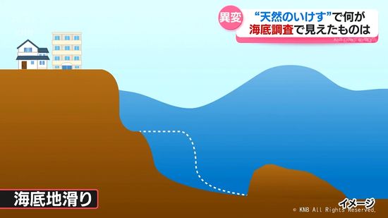 富山湾では能登半島地震のあとシロエビなど記録的な不漁　何が起きたのか