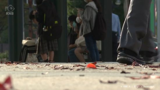 秋の深まり　路面には落ち葉も　富山駅周辺