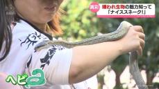 嫌われ生物の魅力伝える移動動物園「ナイススネーク！」