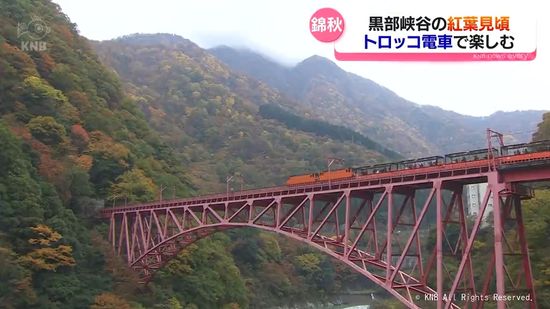 紅葉鮮やか黒部峡谷　トロッコ電車で絶景へ　今だけ降車できる”秘境駅”で記念撮影も