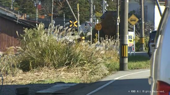 クマ目撃の朝日町で　町や警察などが捕獲へ　富山