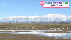 冬の絶景　立山・宇奈月温泉・庄川峡　映像スケッチ