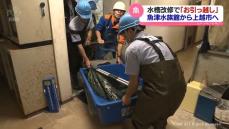 【引っ越し】魚津水族館の改修前に　大水槽の魚が新潟へ