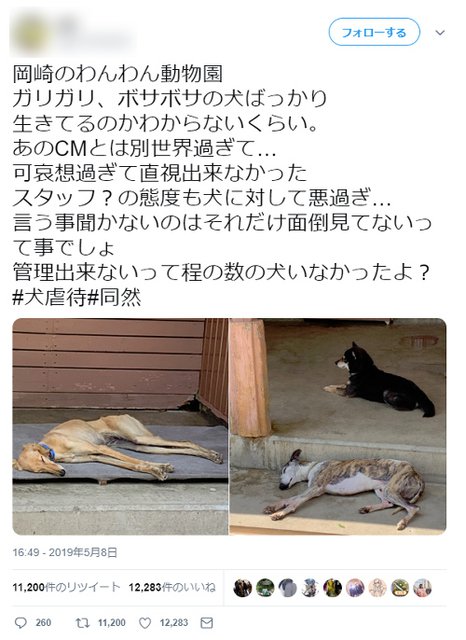 愛知県のわんわん動物園に虐待デマツイート被害 ダレノガレ明美も 私が１度行ってみてきます と激怒 記事詳細 Infoseekニュース
