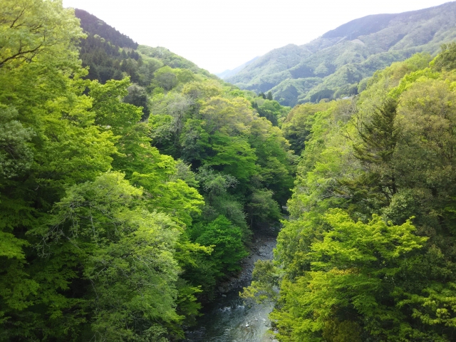 小倉美咲ちゃん行方不明　山梨県警に落ち度はなかったのか直撃電話取材　母親の奇妙な投稿についても