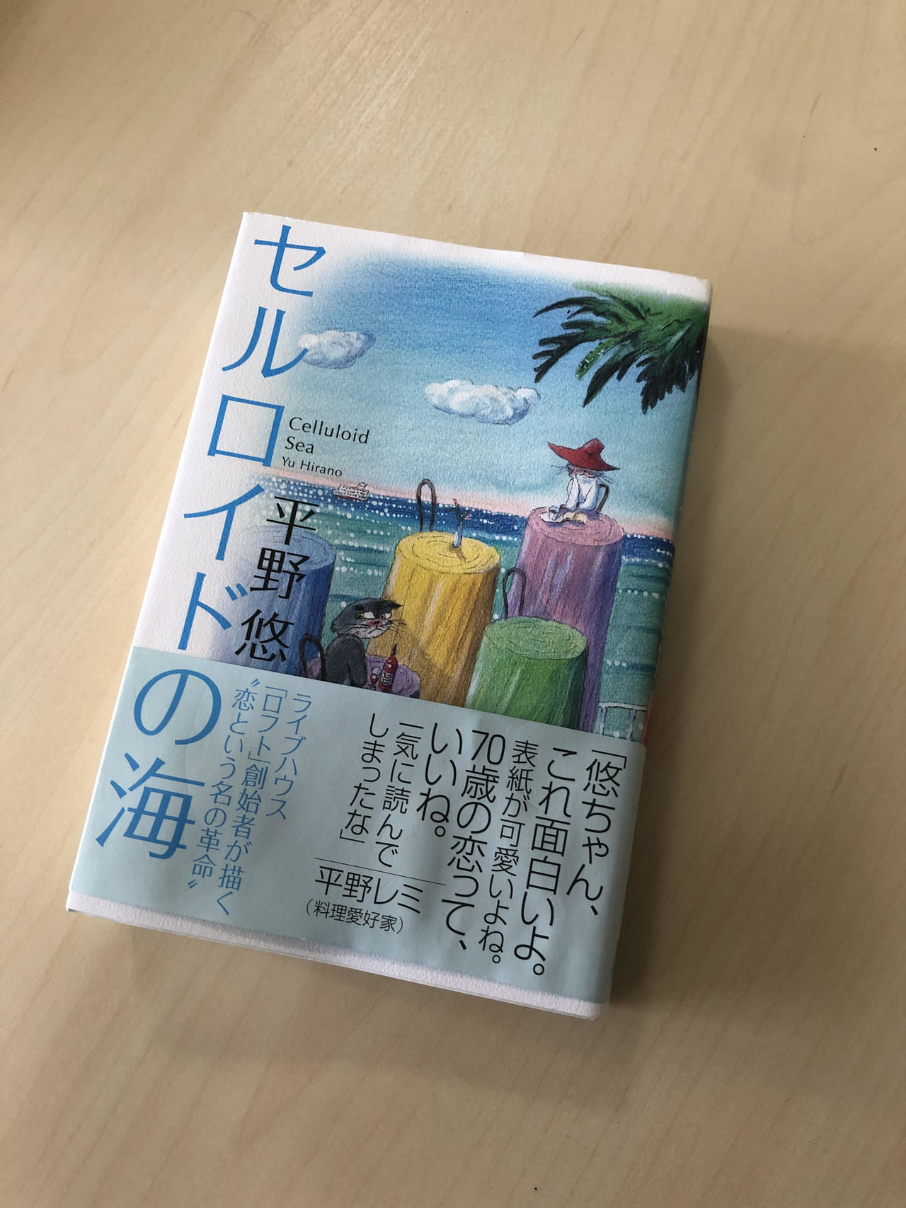 ７０歳破天荒男が ピースボートで様々な熟女と 純愛物語 セルロイドの海 記事詳細 Infoseekニュース