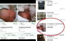 韓国２０代女が赤ちゃんを「１万９千円」で中古品アプリに出品した理由