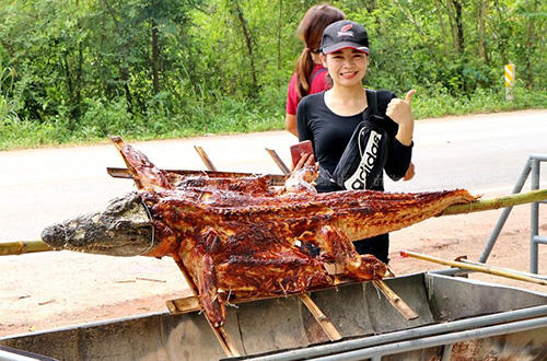 ワニの丸焼きが大ブーム 実は健康志向の人にオススメで捨てるところが無いほどコスパ良し 記事詳細 Infoseekニュース