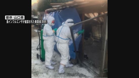 防府市の養鶏場で高病原性鳥インフルエンザの陽性確認 半径10km以内を搬出制限区域に指定