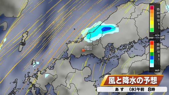 【山口天気 夕刊3/5】低気圧や前線は去っても冷たい北東風　日本海側では朝まで残り雨も　雨上がりでスギ花粉飛散増に注意