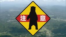 体長1mほどのクマを目撃 萩の県道315号