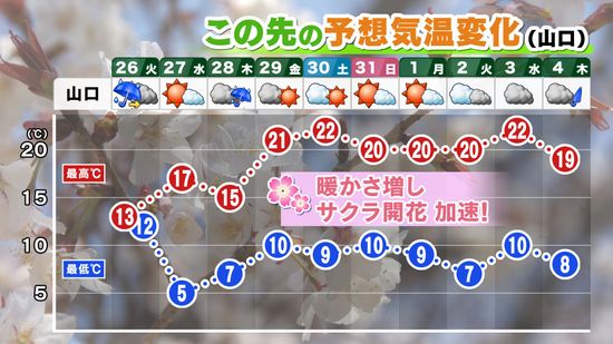 【山口天気 夕刊3/25】26日(火)午前まで一時ザーザー降りも 雨上がりの午後は北風ヒンヤリ ぐずつく天気の中でサクラは…？