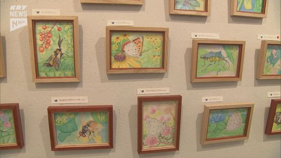 昆虫の魅力を伝えたい…山口市で昆虫画家　山下稔哉さんの作品展はじまる　100点を展示