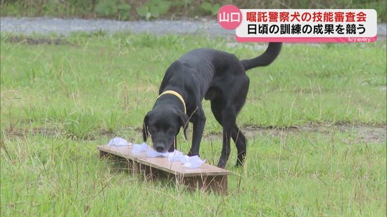 行方不明者の捜索などに出動「嘱託警察犬」の技能審査会