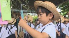 願いを込めながら…徳山動物園で園児たちが七夕の飾り付け