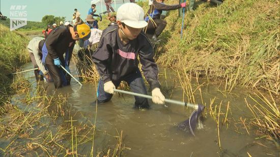 ナベヅルの里・周南市八代で「水辺の教室」～小学生と幼稚園児２１人が参加～