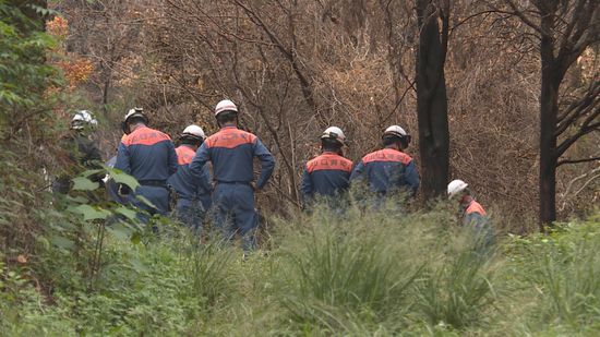 5日間にわたり40ヘクタール焼いた山口市の山火事　警察と消防の実況見分はじまる