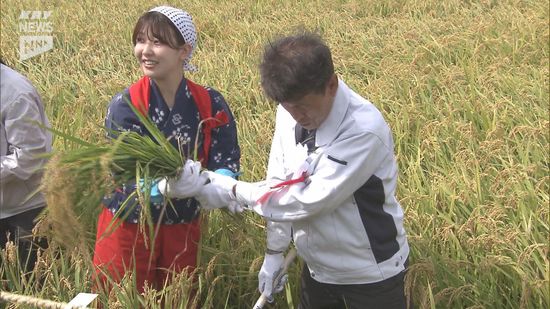 新嘗祭で皇室に献上するコメを収穫…下関市で「抜穂式」