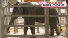 徳山動物園のゾウに専用の体重計を寄贈！これまでは器用に片足づつ乗り計測