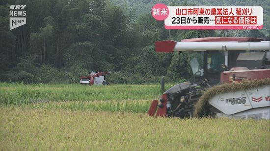 山口市　新米30キロ 新米の価格は玄米30キロで1万8000円 県内有数の米どころ山口市