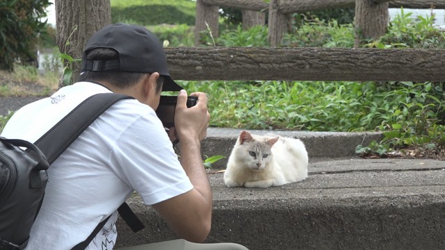 【特集】地域猫の写真と川柳に思いを込めて…不登校・ひきこもりを乗り越えたカメラマン