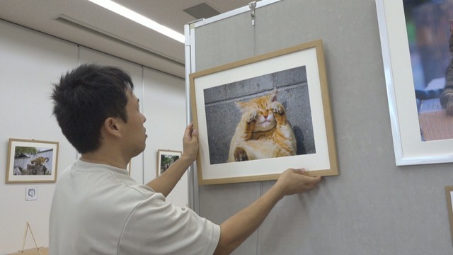 地域猫を撮る写真家2人の作品展　川柳やイラストも…「癒やしや励みに」　岡山市