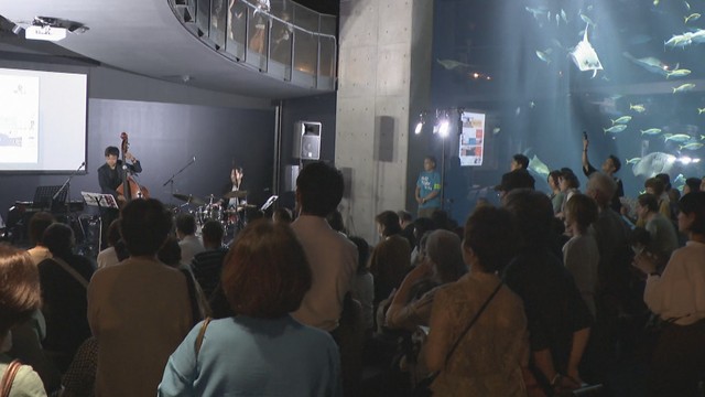 夜の四国水族館でジャズイベント　幻想的な空間で音楽と魚を楽しむ　香川