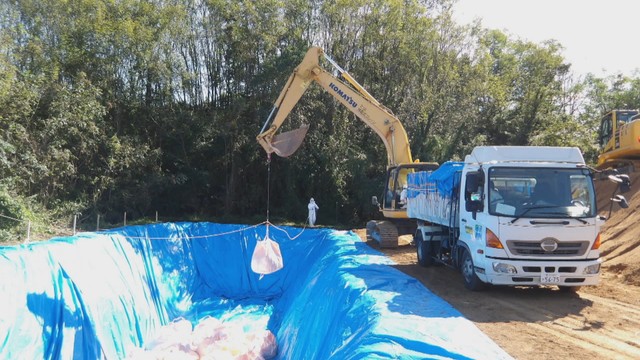 ニワトリ約7.1万羽の殺処分終了　三豊市の養鶏場で発生した鳥インフルエンザ　香川