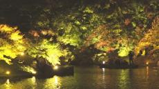 栗林公園 秋のライトアップ　夜間の入園者が4年ぶりに3万人下回る　雨の影響か…　香川