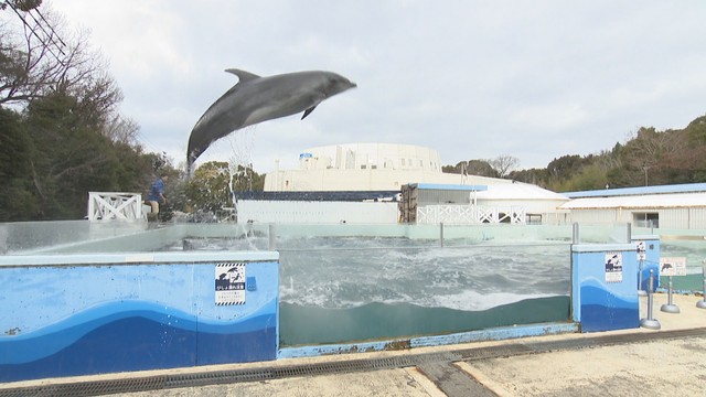 新屋島水族館　リニューアル工事のため休館へ　2025年4月から約2年間の予定　高松市