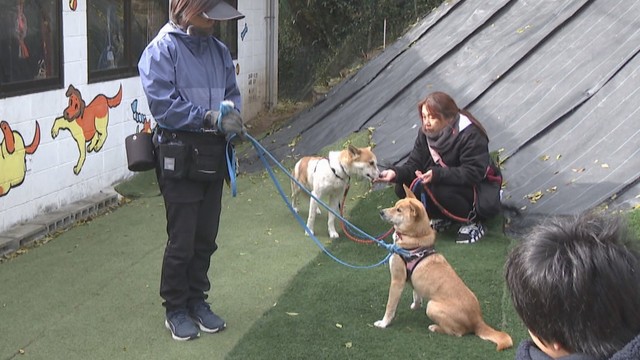 小学生が犬猫の命の大切さを考える　保護犬などについて学び訓練施設も見学　岡山市