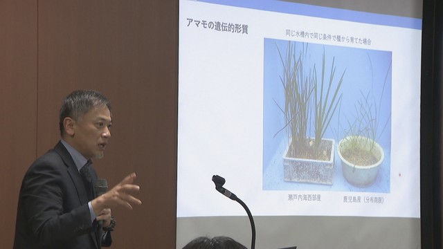 二酸化炭素の吸収源として注目　「藻場」の役割について考えるセミナー　高松市