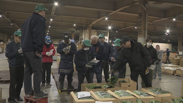 野菜の高値はしばらく続きそう…4月移転予定の青果棟で最後の初競り　高松市中央卸売市場