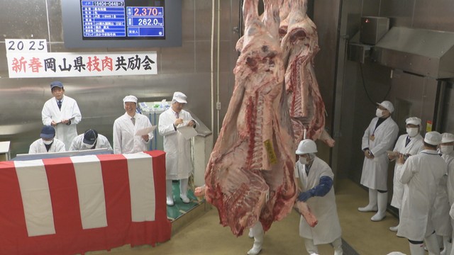 餌代高騰など厳しい状況の中「おかやま和牛肉」の初競り　最高値は1kg 2786円で去年より上昇