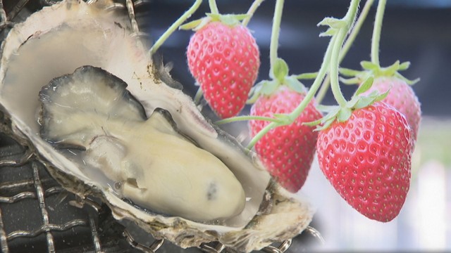 瀬戸内市の道の駅にイチゴ狩り施設とカキ小屋がオープン　「体験」取り入れ集客に期待　岡山