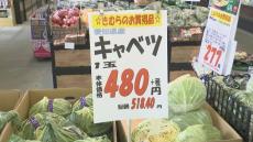 ハクサイ1玉780円、キャベツの値段は3倍に　野菜高騰続き…お好み焼き店は値上げ「だいぶ苦しい」　香川