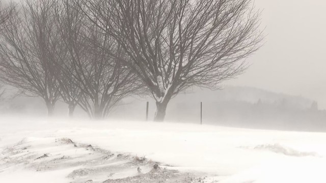 大雪の影響　多くの区間で運転取り止めへ　サンライズ瀬戸・出雲は9日運休　JR西日本【9日午後5時15分現在】