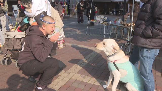 愛犬と一緒にこんぴら参拝や買い物を楽しんで　期間限定イベント　香川・琴平町